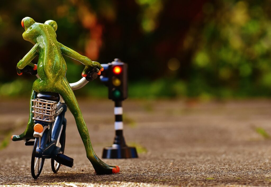 frog, figure, bicycle-1726765.jpg
